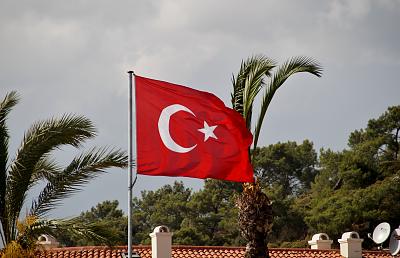     
: tree-plant-wind-advertising-flag-turkey-turkish-flag-the-flag-of-the-arecales-720280.jpg
: 133
:	93.7 
ID:	334